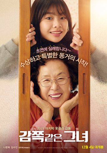 Маленькая принцесса (2019) Маленькая принцесса (2019)